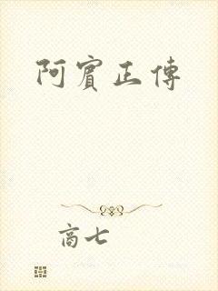 阿宾正传封面