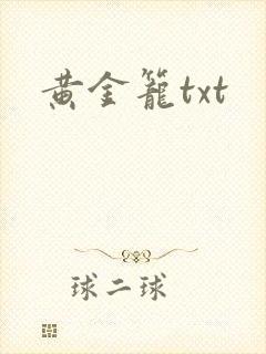 黄金笼txt