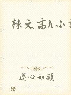 辣文高h小说封面