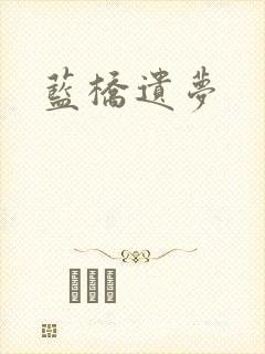 蓝桥遗梦封面