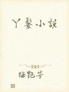 丫鬟小说