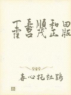 丁长顺和田晓兰霍吕茂正版