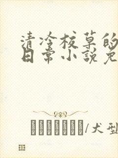 清冷校草的堕落日常小说免费阅读