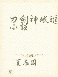 刀剑神域进击篇小说封面