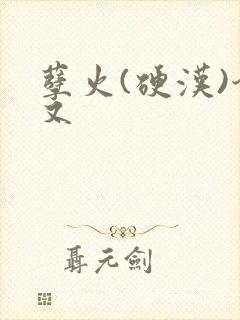 孽火(硬汉)今又