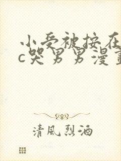 小受被按在墙上c哭男男漫画封面