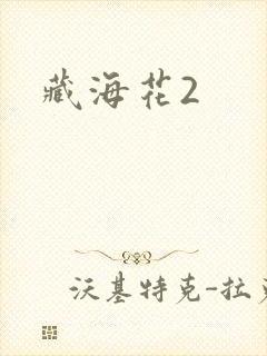 藏海花2