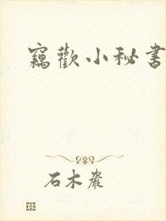 窃欢小秘书
