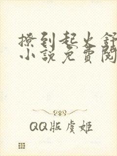 撩到起火舒漾的小说免费阅读全文