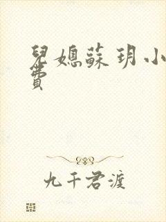 儿媳苏玥小说免费封面