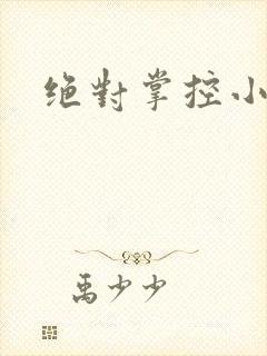 绝对掌控小说