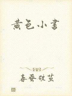 黄色小书