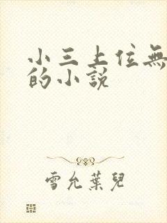 小三上位无三观的小说