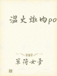 温火炖肉pop