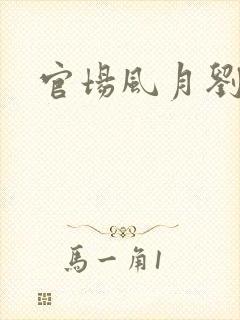 官场风月刘明强
