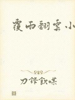 覆雨翻云小说