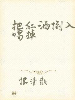 把红酒倒入b里喝掉