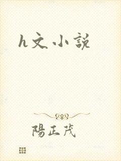 h文小说封面