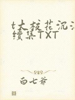 t大校花沉浮录续集TXT