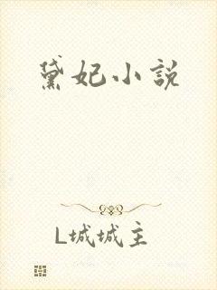 黛妃小说