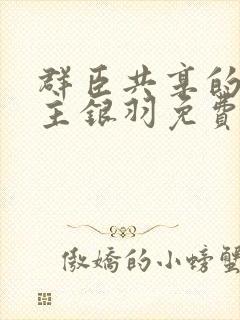 群臣共享的小公主银羽免费阅读