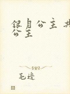 银月公主 共享公主