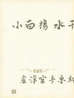 小白杨 水千丞