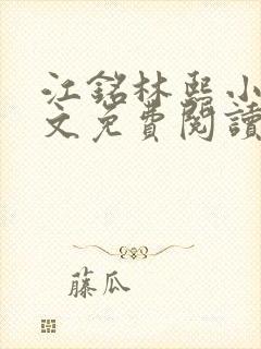 江铭林熙小说全文免费阅读