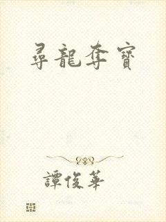 寻龙夺宝