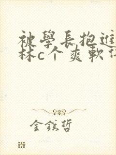 被学长抱进小树林c个爽软件