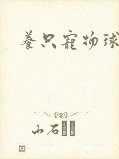养只宠物球