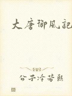 大唐御风记
