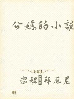 公媳的小说