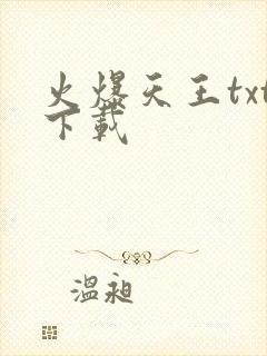 火爆天王txt下载