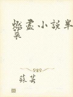 燃尽小说半截白菜