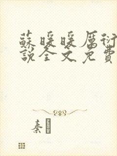 苏暖暖厉衍琛小说全文免费阅读