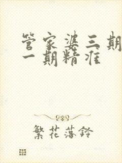 管家婆三期必开一期精准