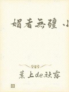 媚者无疆 小说