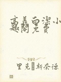 高义白洁小说笔趣阁免费封面