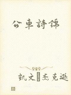 公车诗锦封面