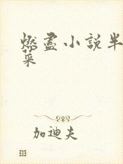 燃尽小说半截白菜