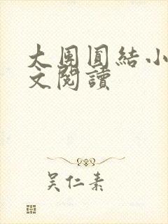 大团圆结小茹全文阅读封面