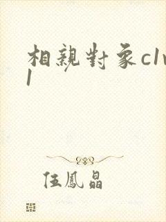 相亲对象c1v1