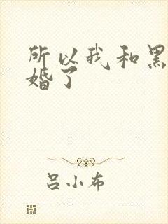 所以我和黑粉结婚了