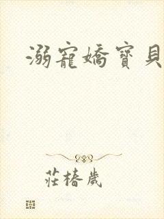 溺宠娇宝贝封面