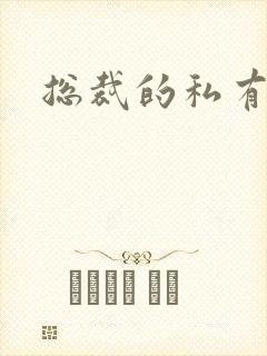 总裁的私有宝贝