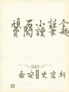 顽石小说全文免费阅读笔趣阁