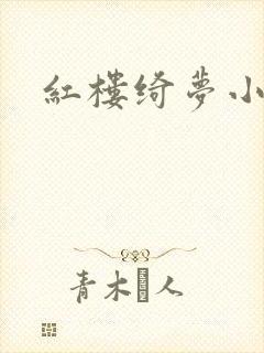 红楼绮梦小说