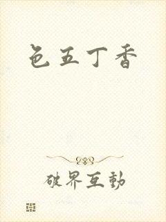 色五丁香封面