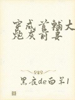 穿成首辅大人的炮灰前妻